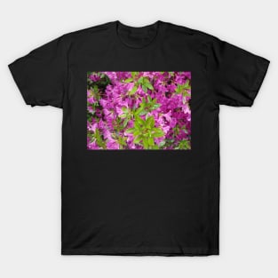 purple flowers T-Shirt